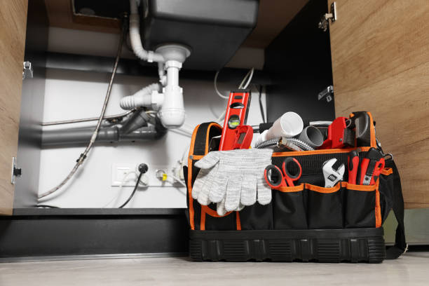 Best Plumbing Services Near Me  in Holland, MI